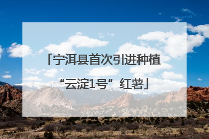 宁洱县首次引进种植“云淀1号”红薯