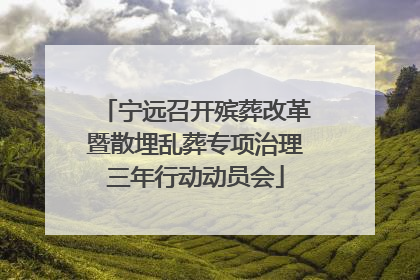 宁远召开殡葬改革暨散埋乱葬专项治理三年行动动员会
