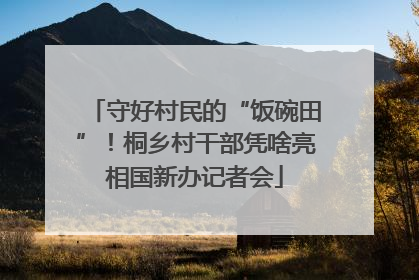 守好村民的“饭碗田”！桐乡村干部凭啥亮相国新办记者会