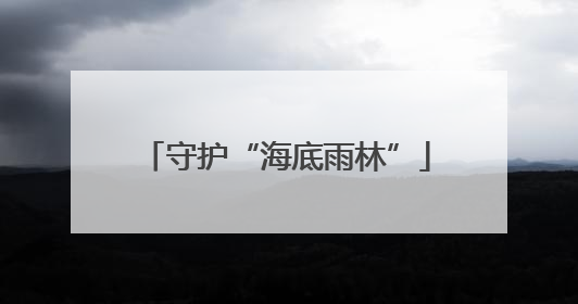 守护“海底雨林”