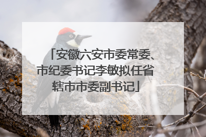 安徽六安市委常委、市纪委书记李敏拟任省辖市市委副书记