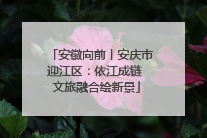 安徽向前丨安庆市迎江区：依江成链 文旅融合绘新景