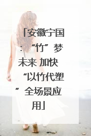 安徽宁国：“竹”梦未来 加快“以竹代塑”全场景应用