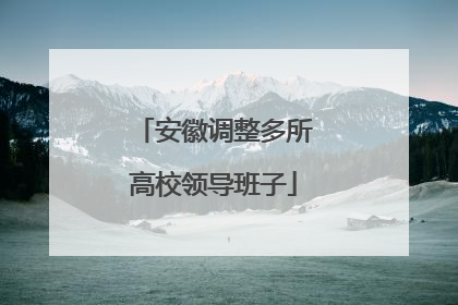 安徽调整多所高校领导班子