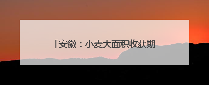 安徽：小麦大面积收获期在5月26日至6月上旬