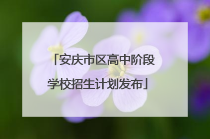 安庆市区高中阶段学校招生计划发布