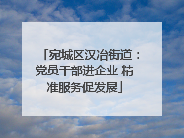宛城区汉冶街道：党员干部进企业 精准服务促发展