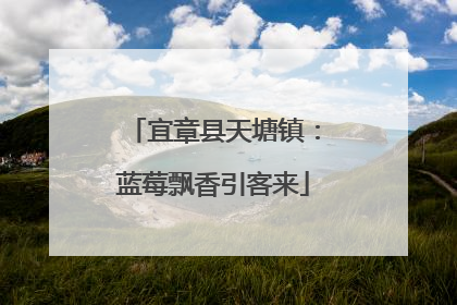 宜章县天塘镇：蓝莓飘香引客来