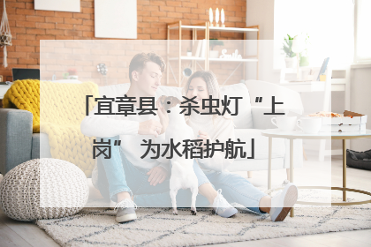 宜章县：杀虫灯“上岗” 为水稻护航