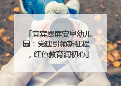 宜宾翠屏安阜幼儿园：党建引领新征程，红色教育润初心