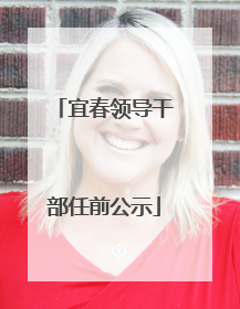 宜春领导干部任前公示