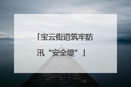 宝云街道筑牢防汛“安全堤”