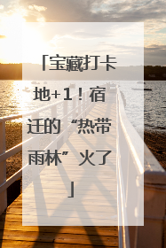 宝藏打卡地+1！宿迁的“热带雨林”火了
