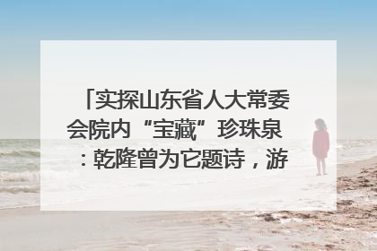 实探山东省人大常委会院内“宝藏”珍珠泉：乾隆曾为它题诗，游客无需预约免费游览