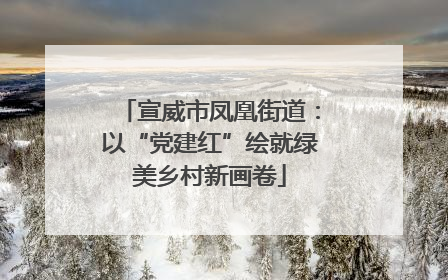 宣威市凤凰街道：以“党建红”绘就绿美乡村新画卷