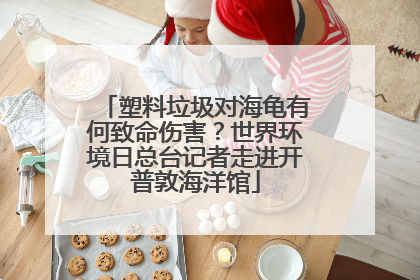 塑料垃圾对海龟有何致命伤害？世界环境日总台记者走进开普敦海洋馆