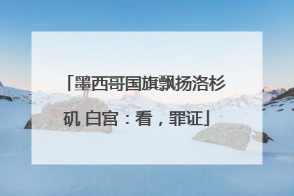 墨西哥国旗飘扬洛杉矶 白宫：看，罪证
