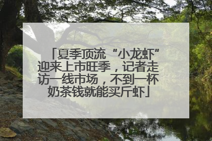 夏季顶流“小龙虾”迎来上市旺季，记者走访一线市场，不到一杯奶茶钱就能买斤虾