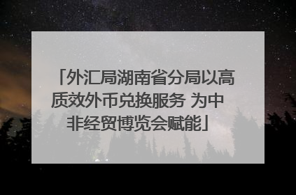 外汇局湖南省分局以高质效外币兑换服务 为中非经贸博览会赋能