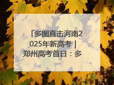 多图直击河南2025年新高考｜郑州高考首日：多方暖心护航 助力学子逐梦