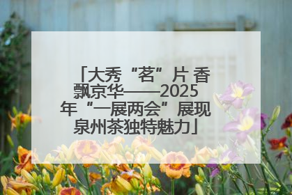 大秀“茗”片 香飘京华——2025年“一展两会”展现泉州茶独特魅力