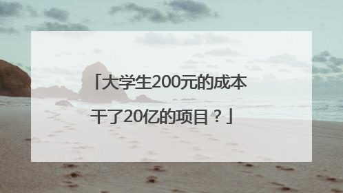 大学生200元的成本干了20亿的项目？