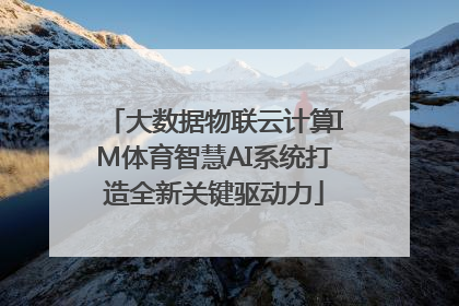 大数据物联云计算IM体育智慧AI系统打造全新关键驱动力
