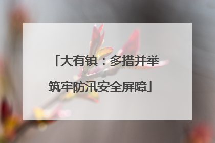 大有镇：多措并举筑牢防汛安全屏障