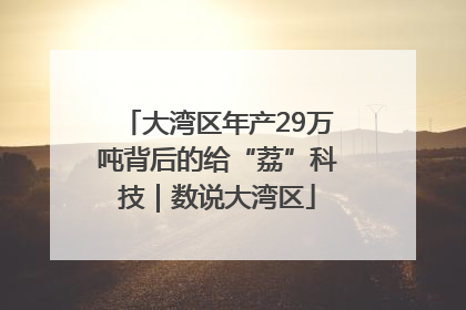 大湾区年产29万吨背后的给“荔”科技｜数说大湾区
