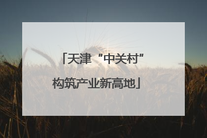 天津“中关村”构筑产业新高地
