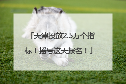 天津投放2.5万个指标！摇号这天报名！
