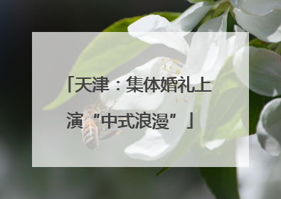 天津：集体婚礼上演“中式浪漫”