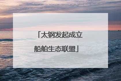 太钢发起成立船舶生态联盟