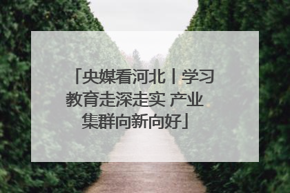 央媒看河北丨学习教育走深走实 产业集群向新向好