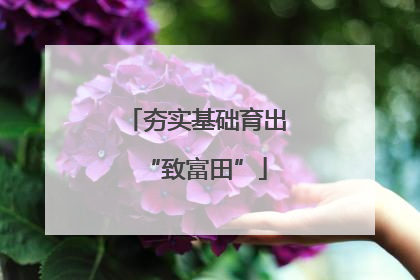 夯实基础育出“致富田”