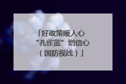 好政策暖人心 “孔雀蓝”增信心（国防视线）