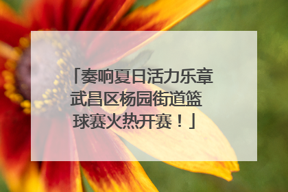 奏响夏日活力乐章 武昌区杨园街道篮球赛火热开赛！
