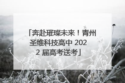 奔赴璀璨未来！青州圣维科技高中 2022 届高考送考