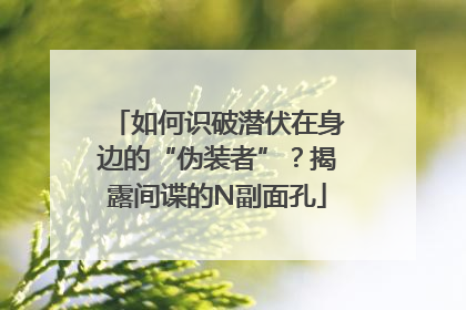 如何识破潜伏在身边的“伪装者”？揭露间谍的N副面孔