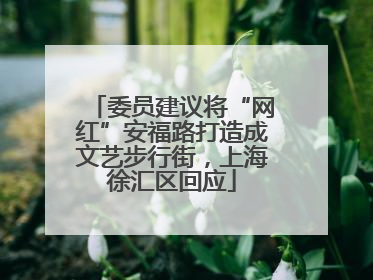 委员建议将“网红”安福路打造成文艺步行街，上海徐汇区回应