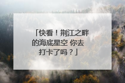 快看！荆江之畔的海底星空 你去打卡了吗？