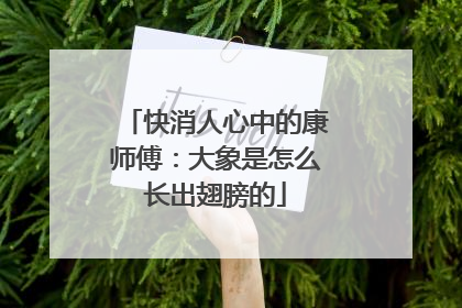 快消人心中的康师傅：大象是怎么长出翅膀的