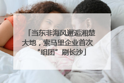 当东非海风邂逅湘楚大地，索马里企业首次“组团”刷长沙