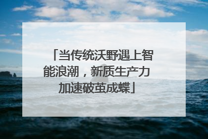 当传统沃野遇上智能浪潮，新质生产力加速破茧成蝶
