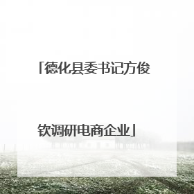 德化县委书记方俊钦调研电商企业