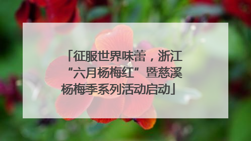 征服世界味蕾，浙江“六月杨梅红”暨慈溪杨梅季系列活动启动
