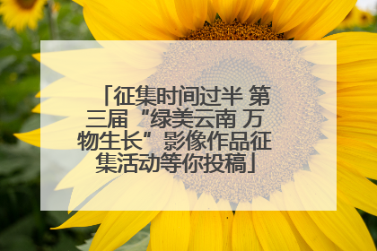 征集时间过半 第三届“绿美云南 万物生长”影像作品征集活动等你投稿