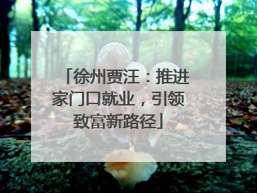 徐州贾汪：推进家门口就业，引领致富新路径