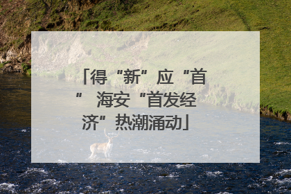 得“新”应“首” 海安“首发经济”热潮涌动