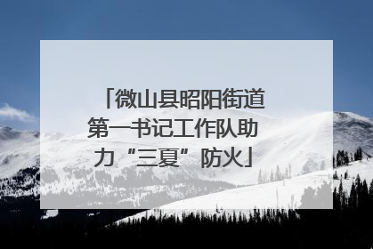 微山县昭阳街道第一书记工作队助力“三夏”防火